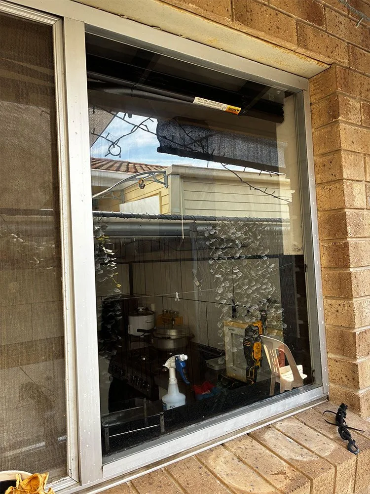 House Window Replacement Adelaide