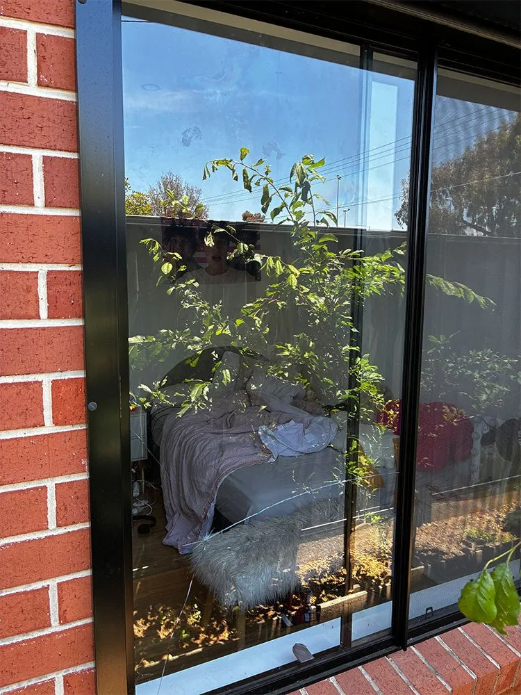 House Window Replacement Adelaide